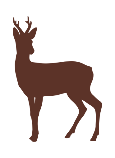 Roe Deer Ragout