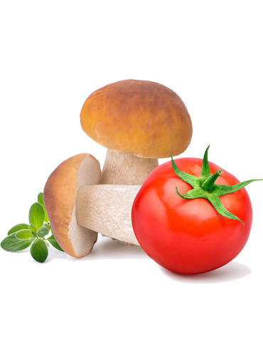 Condimento con funghi porcini (Salsa con boletus)