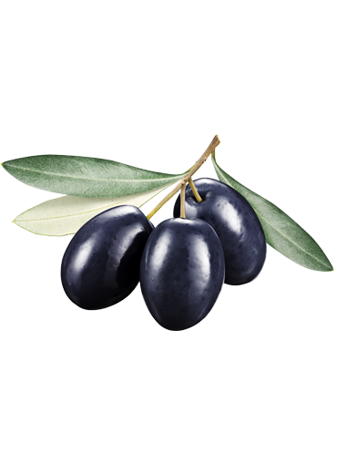 Crema di olive nere (Crema de aceitunas negras)