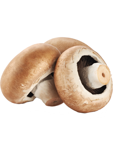 Funghi Prataioli piccoli e interi (Champiñones pequeños enteros)