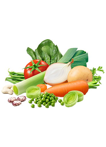 Minestrone di verdure (Sopa de verduras y legumbres)